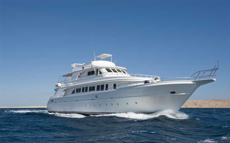 INTERMED SHIPPING SEAGULL LTD has a global network of associates that ensure quality and efficiency of services and inspires the trust clients have in us.