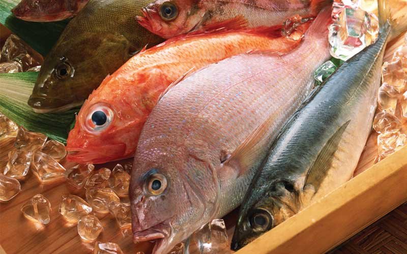 INTERMED SHIPPING SEAGULL LTD has a global network of associates that ensure quality and efficiency of services and inspires the trust clients have in us.