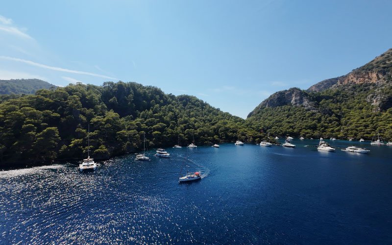 Boats floating in a bay with crystal-clear blue waters, set against a lush green landscape in the background