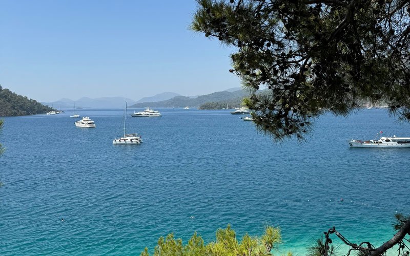 Boats floating in a bay with crystal-clear blue waters, set against a lush green landscape in front